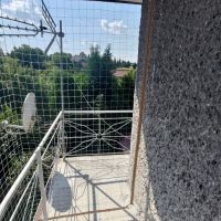 p 20240722 p 20240722